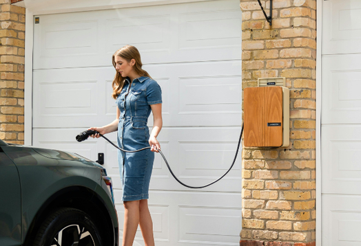 628x426x wagtail website images