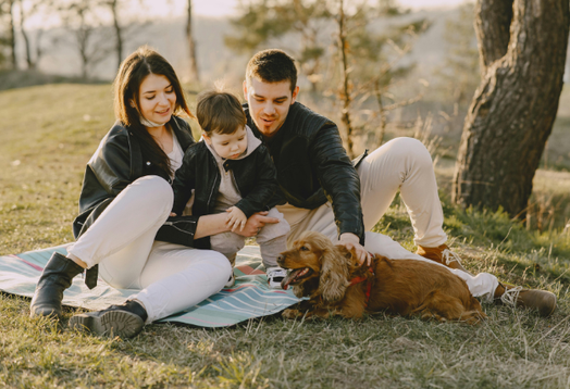 Before making an offer