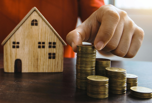 Home loan borrow image